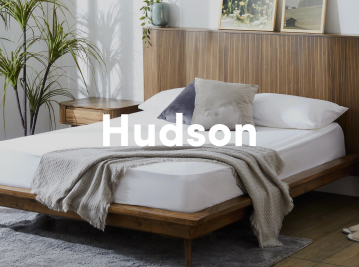 Hudson Collection