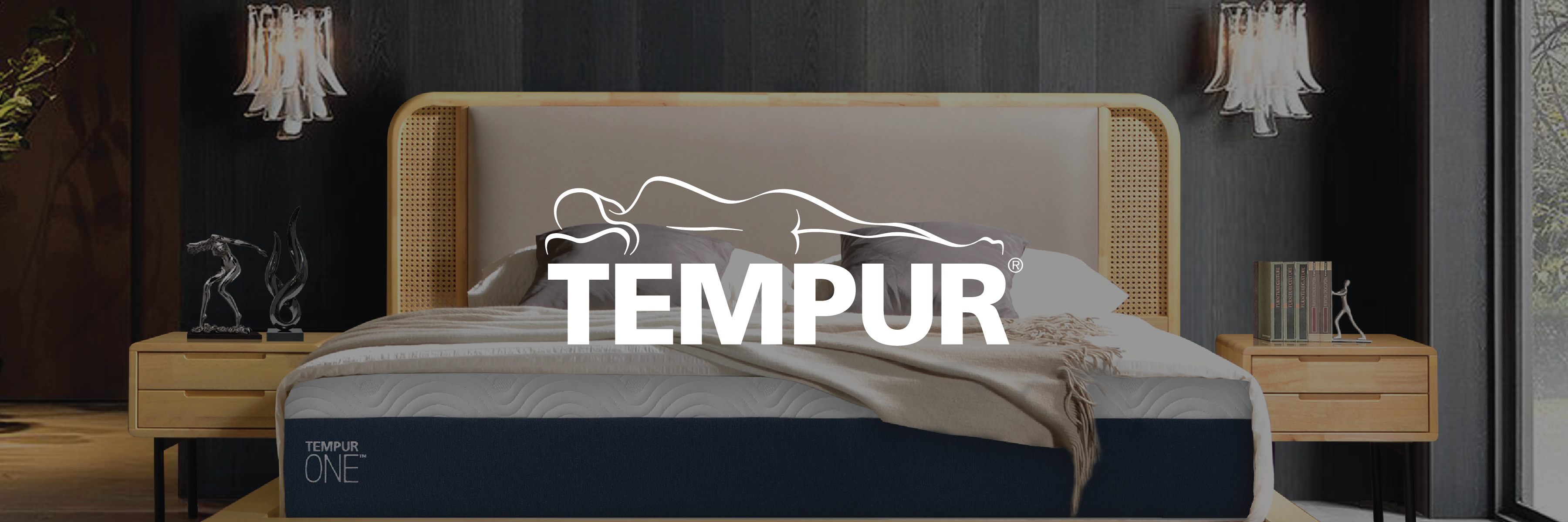 Shop Tempur