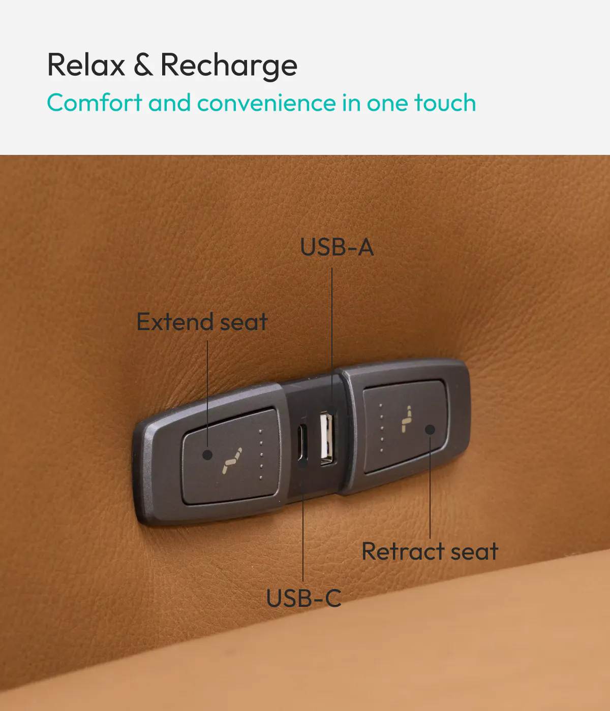 forte leather control